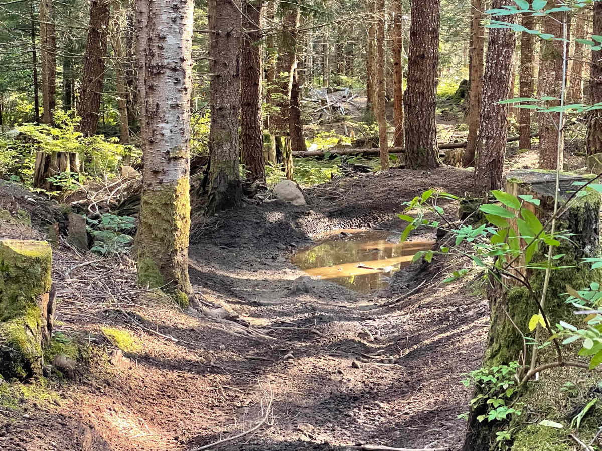 Doubletrack #5 photo 3