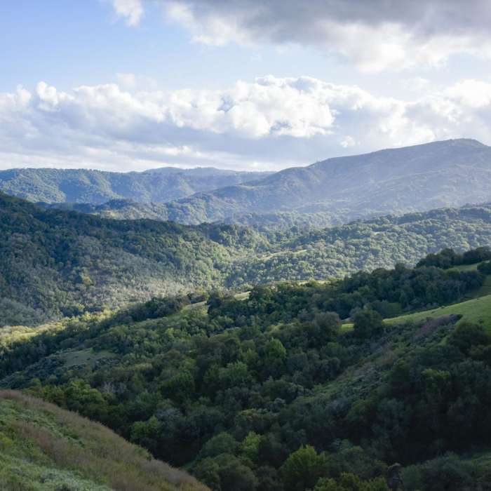 Near Tour of Rancho Canada del Oro