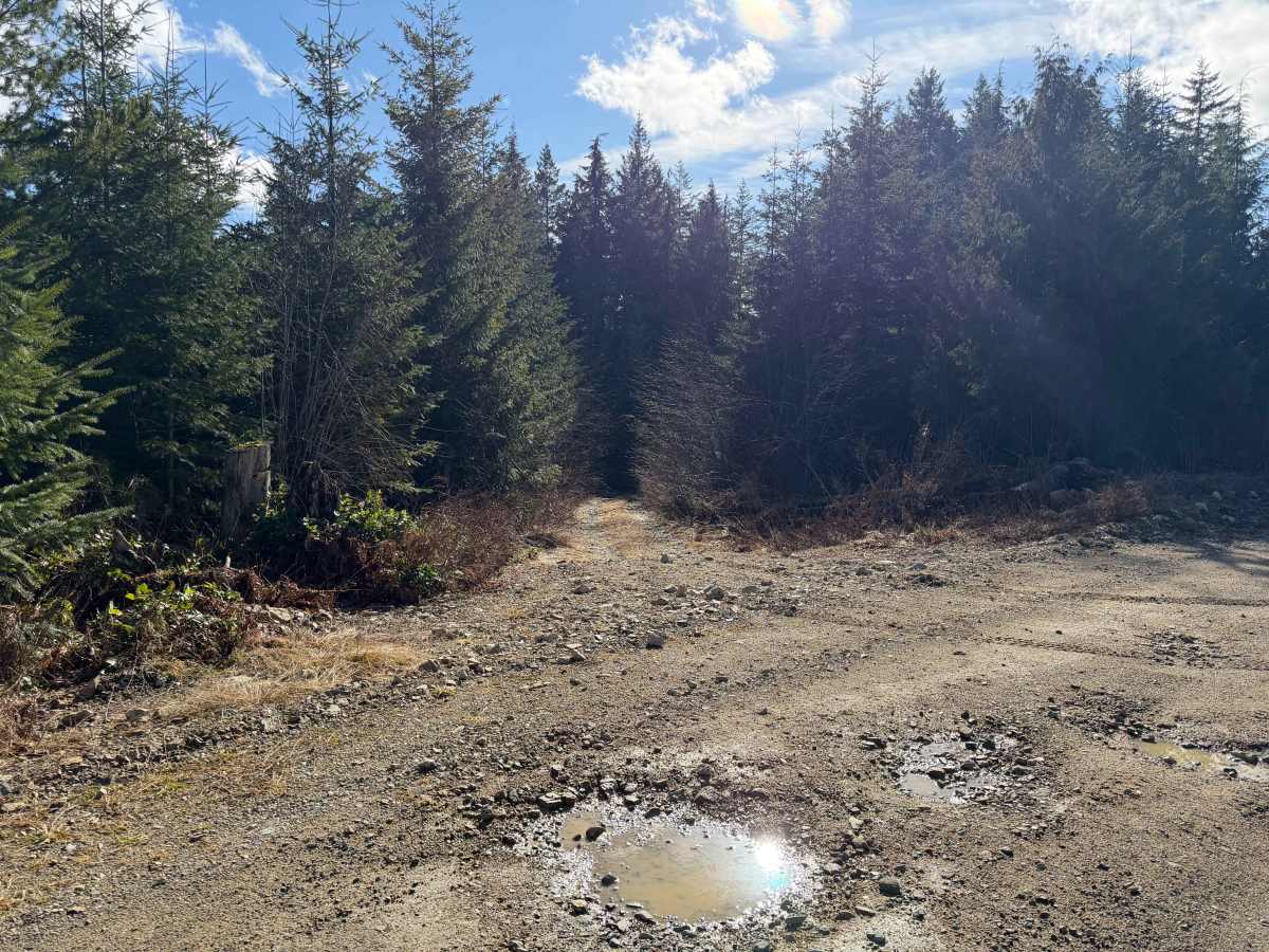 Healy lake photo 5