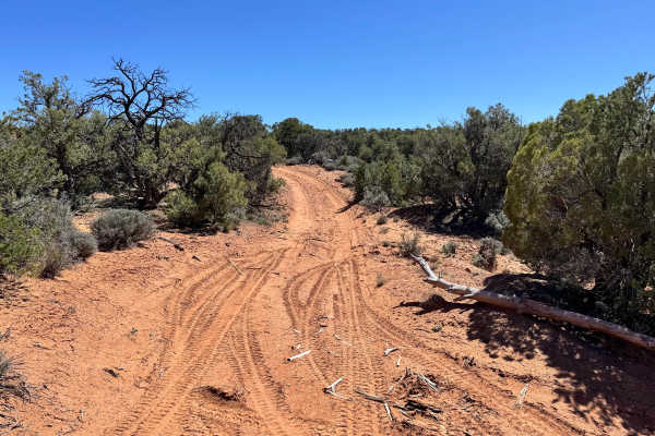 Richardson Overlook