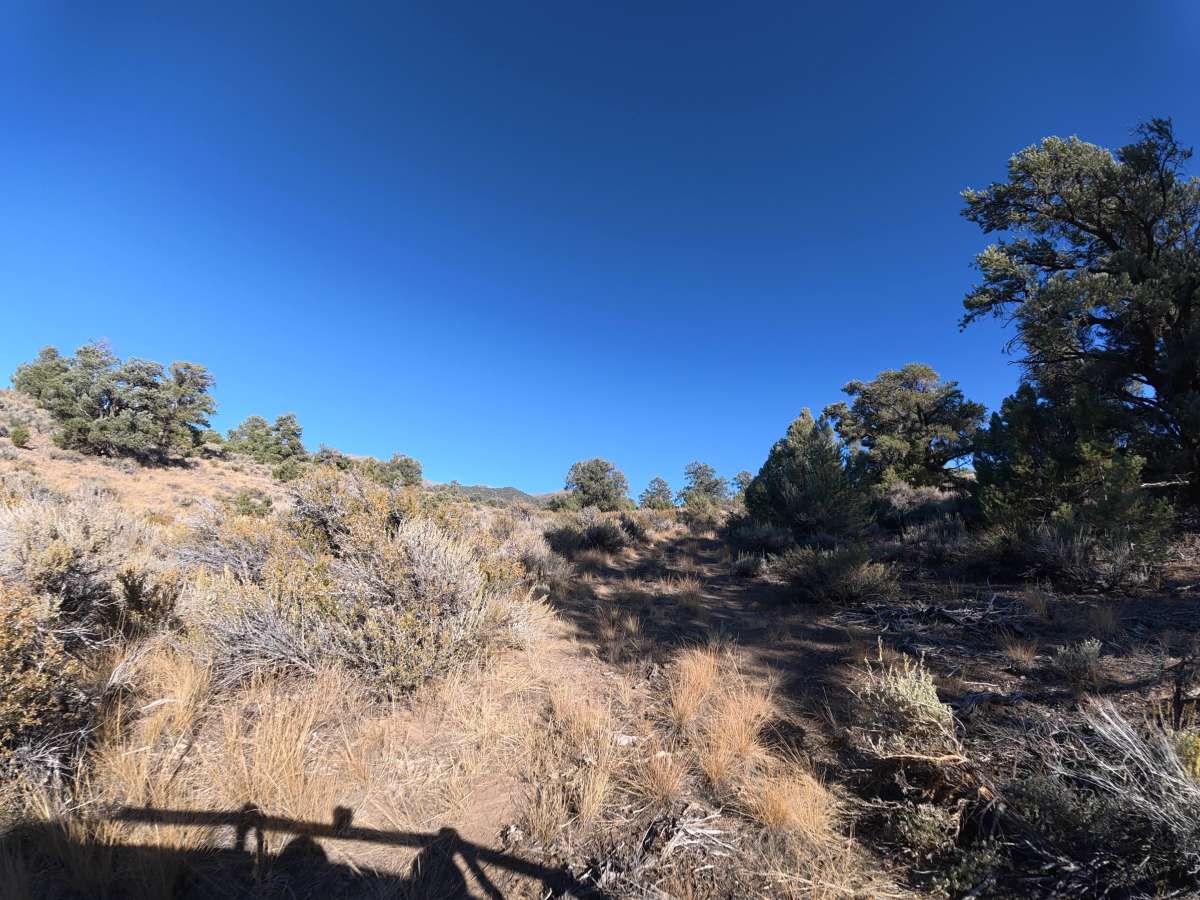 Loop Road K photo 3