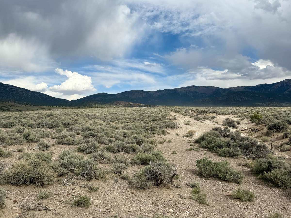Pony Express Trail 1860 California Telegraph Route photo 2