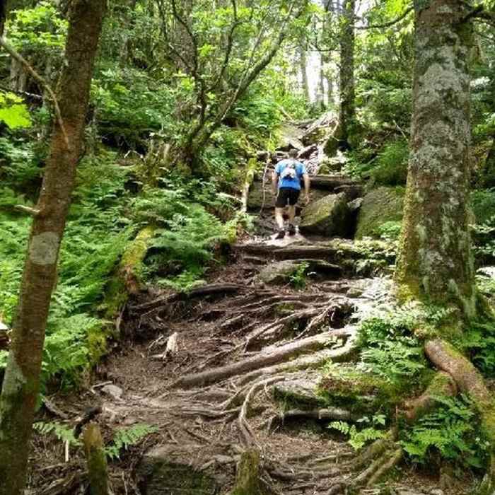 Pictures do not do justice of how steep Woody is. Near Woody Ridge Trail (177)