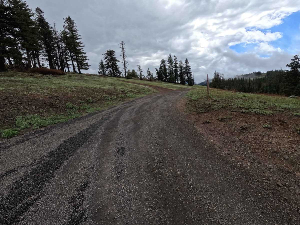 Crampton Road - FS 3120 photo 3