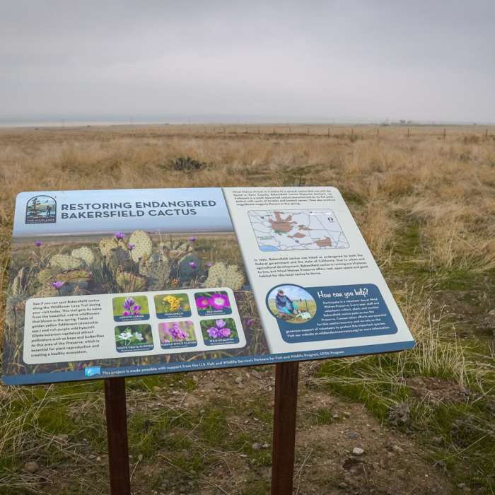 Near Wildflower Loop Trail