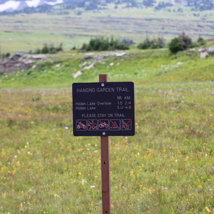 Near Hidden Lake Hanging Garden Trail