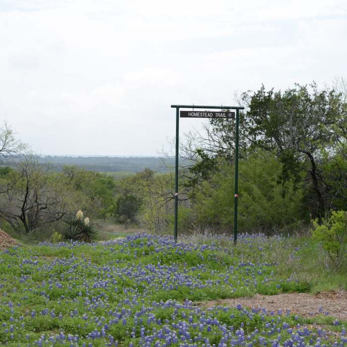 Near Lakeview Trail