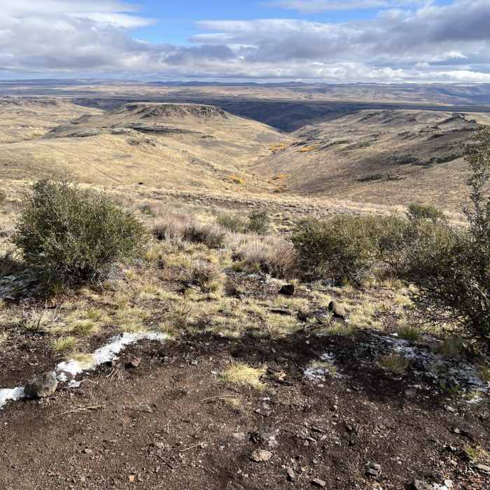 Near Trout Creek Mountain Road Near Trout Creek Mountain Road