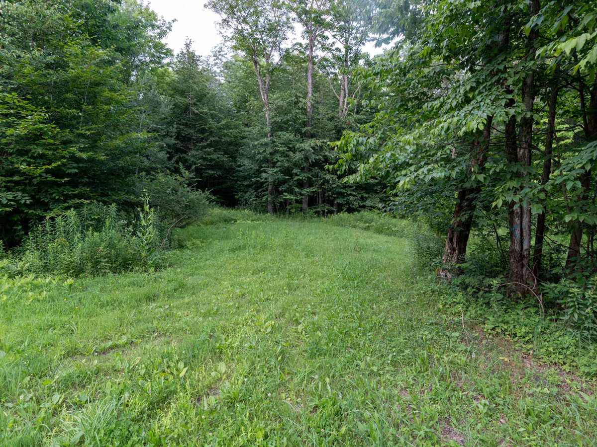 Norton Forest Road photo 3