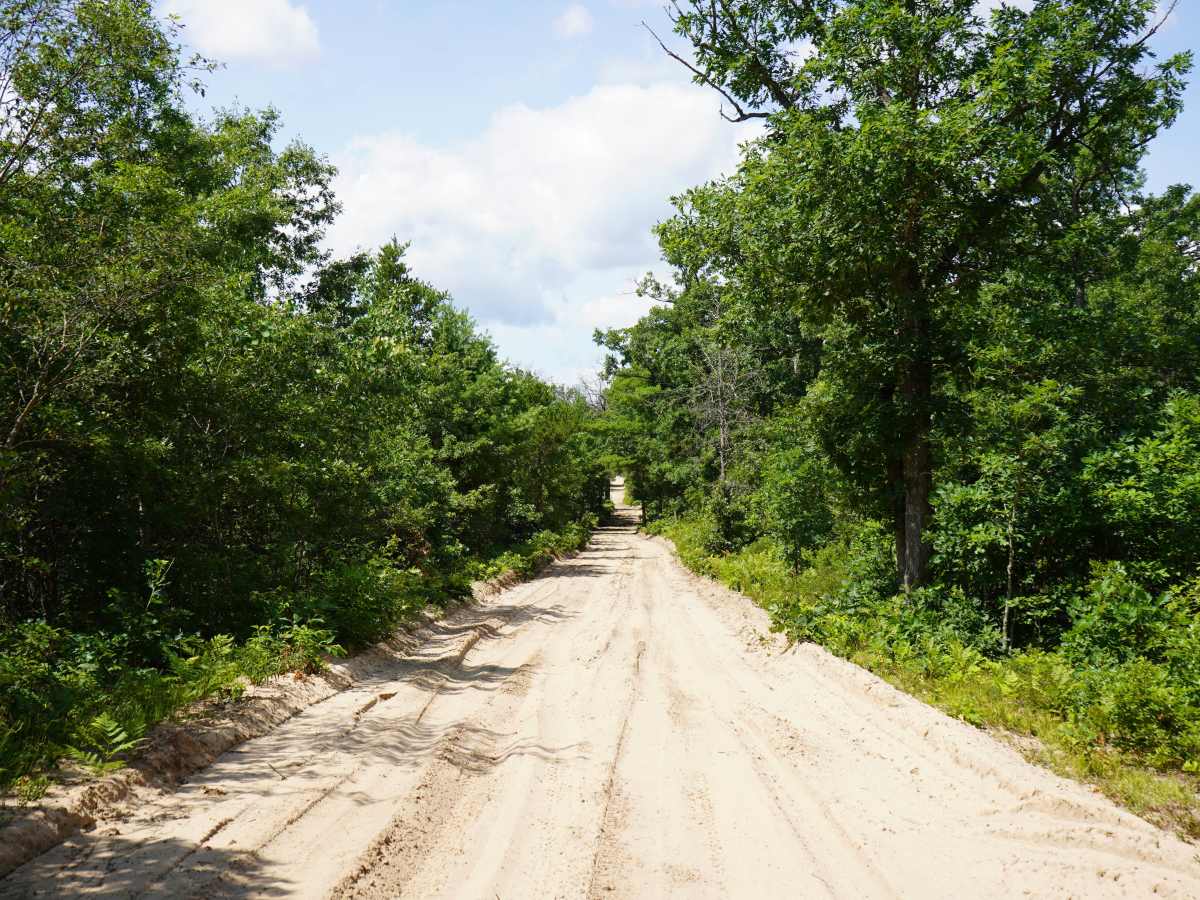 Billman Wilbur Trail trail photo