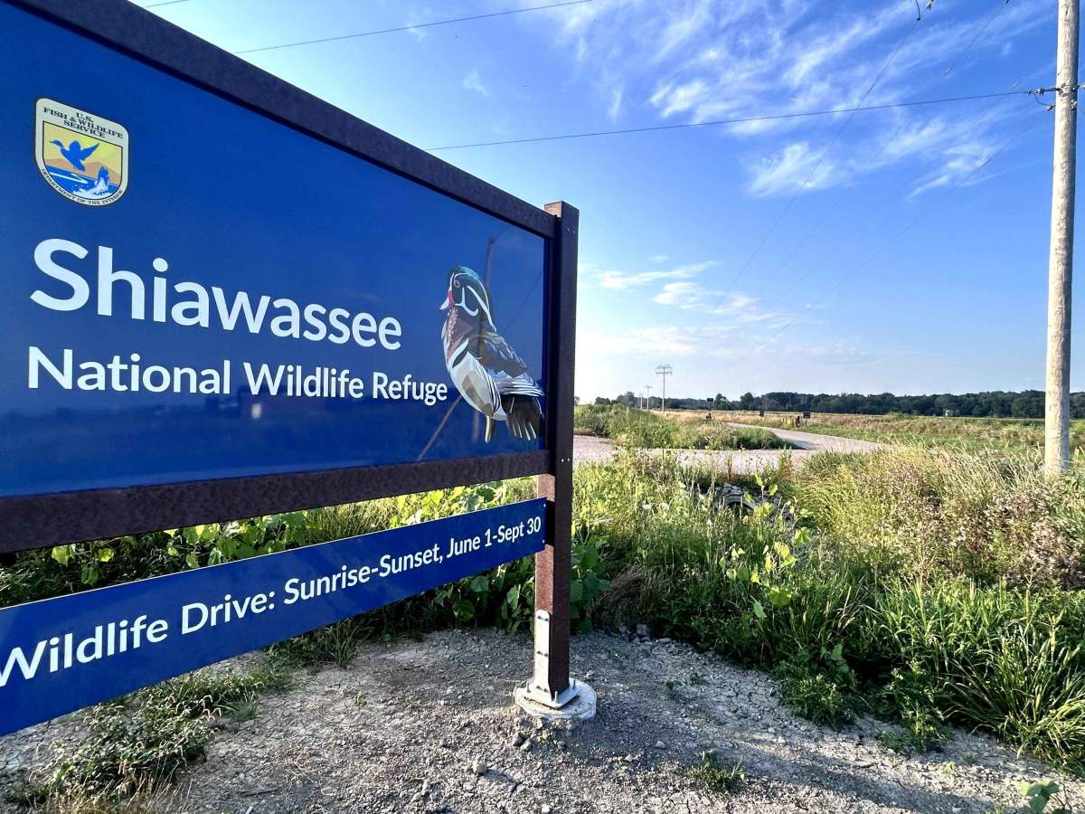Wildlife Drive photo 2