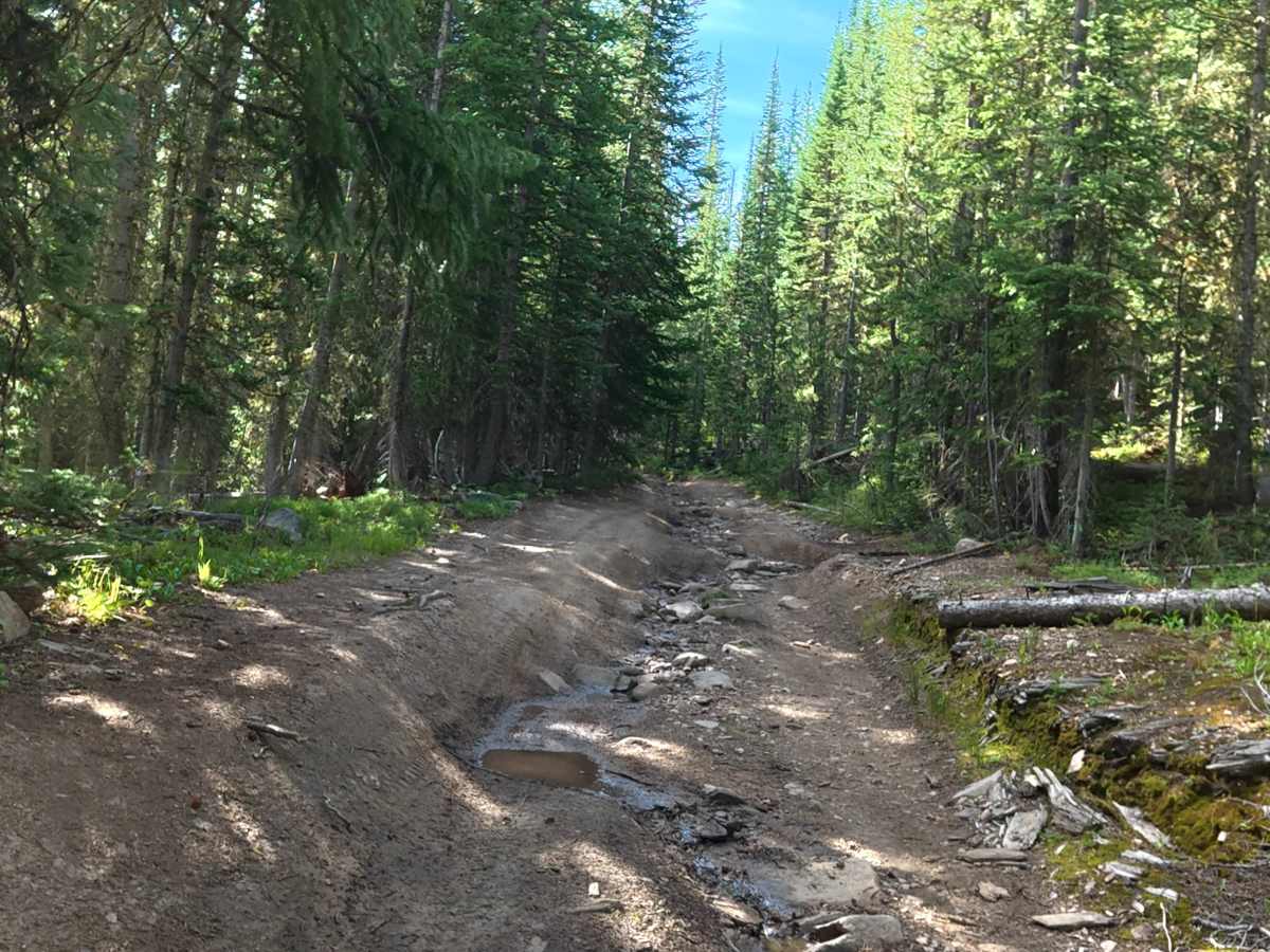 Grace Creek Road - FS 143 photo 3