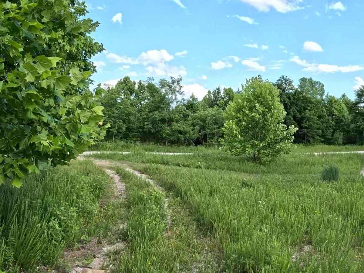 Q28A trail photo