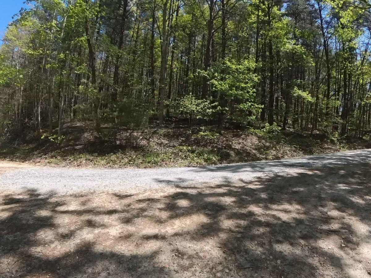 FS 744I trail photo