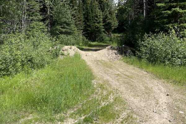 Grizzly FSR to Haddo Lake