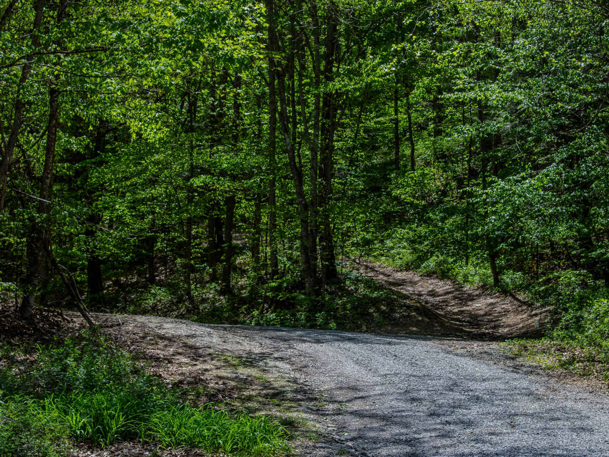 RBS13 trail photo