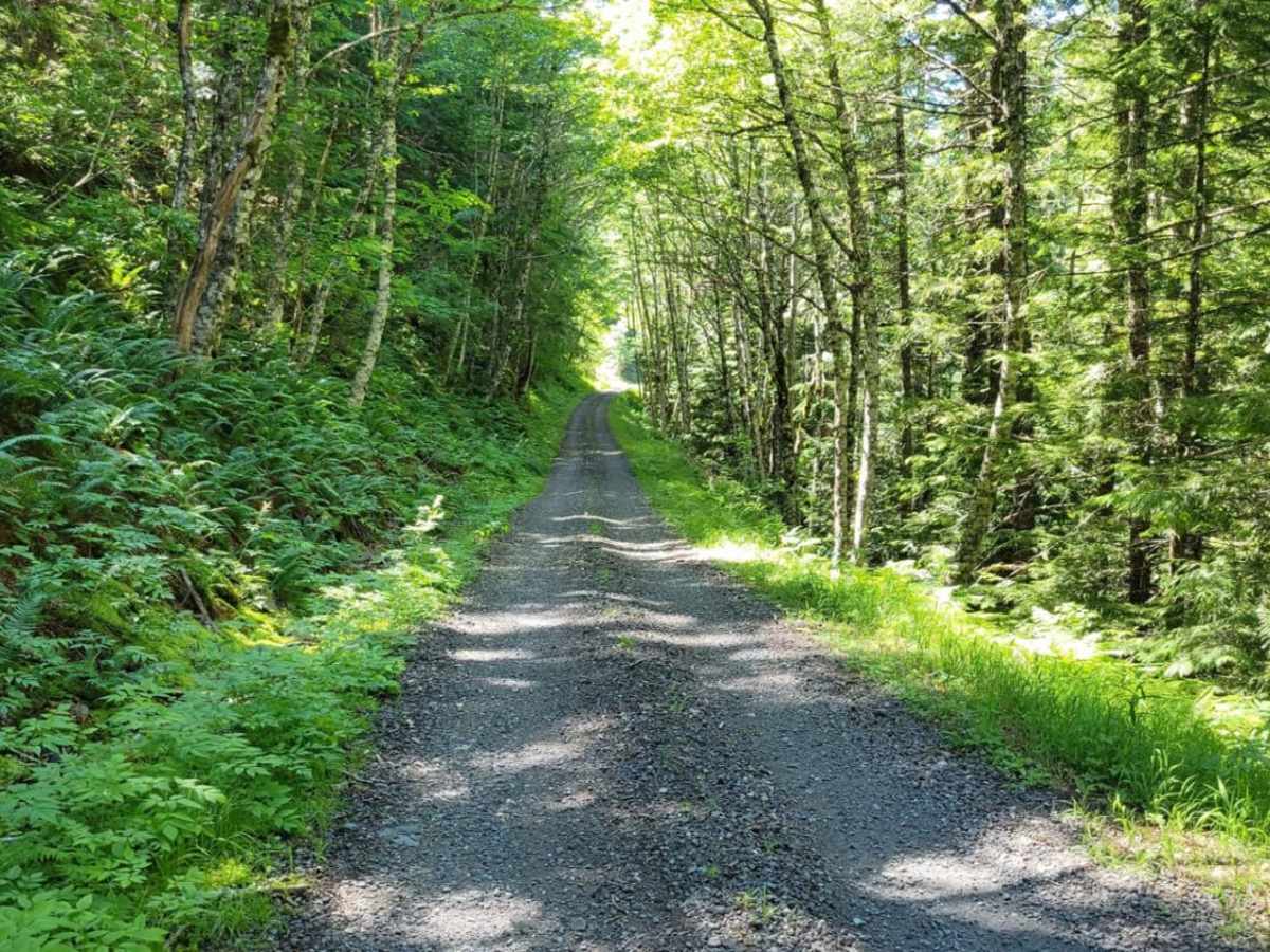 Still Creek Road photo 4