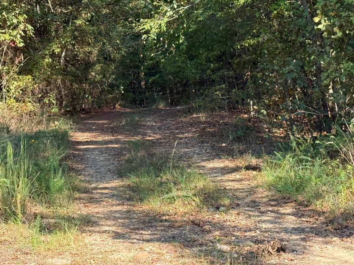 Bolan Creek photo 2