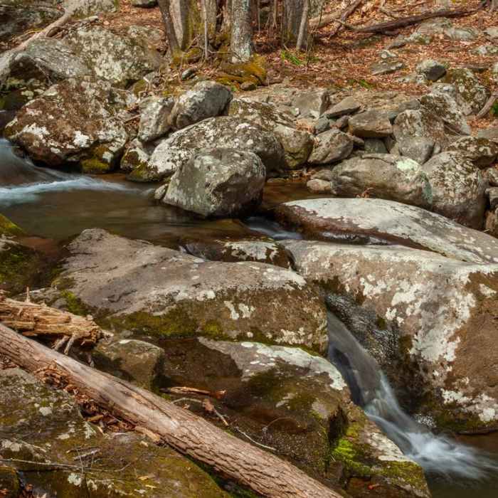 Near Rose River + Dark Hollow Falls via Big Meadows Near Rose River + Dark Hollow Falls via Big Meadows