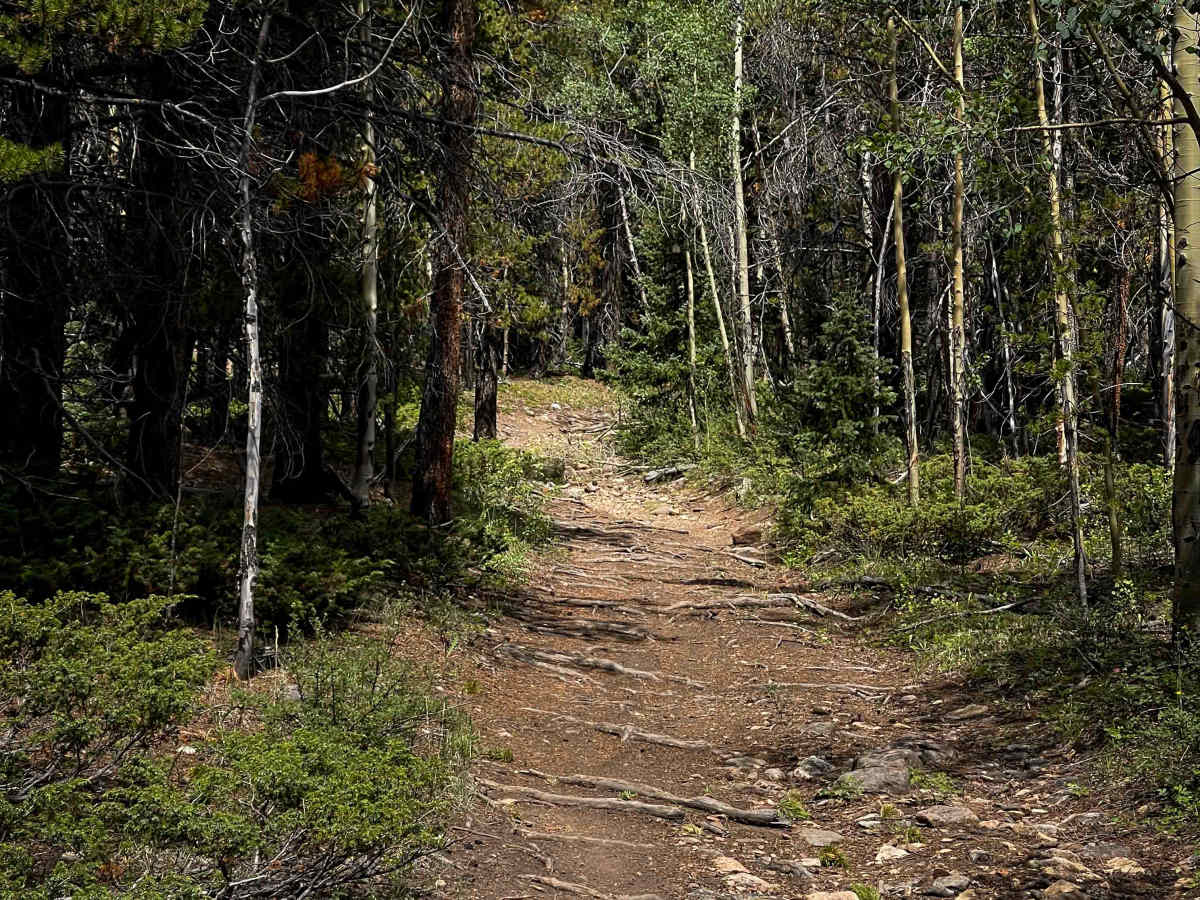Almgren Trail #689 photo 5