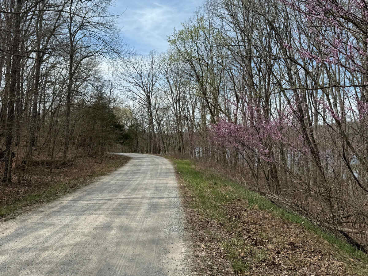 Taylor Ridge Road photo 3