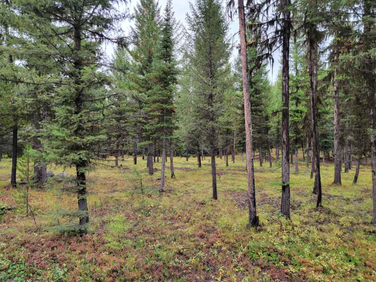 Trail Creek to Graves Creek photo 5