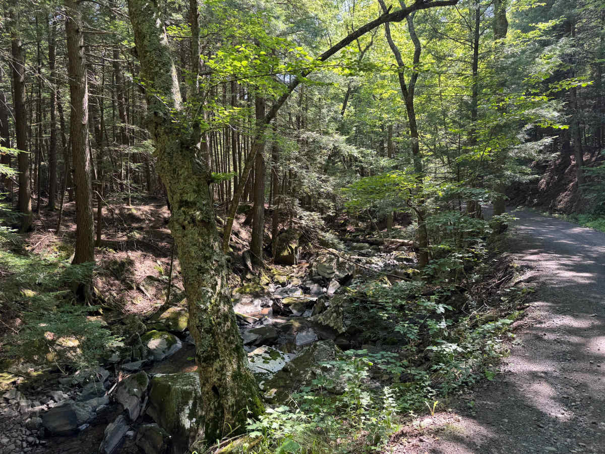 Mill Hollow Road photo 3