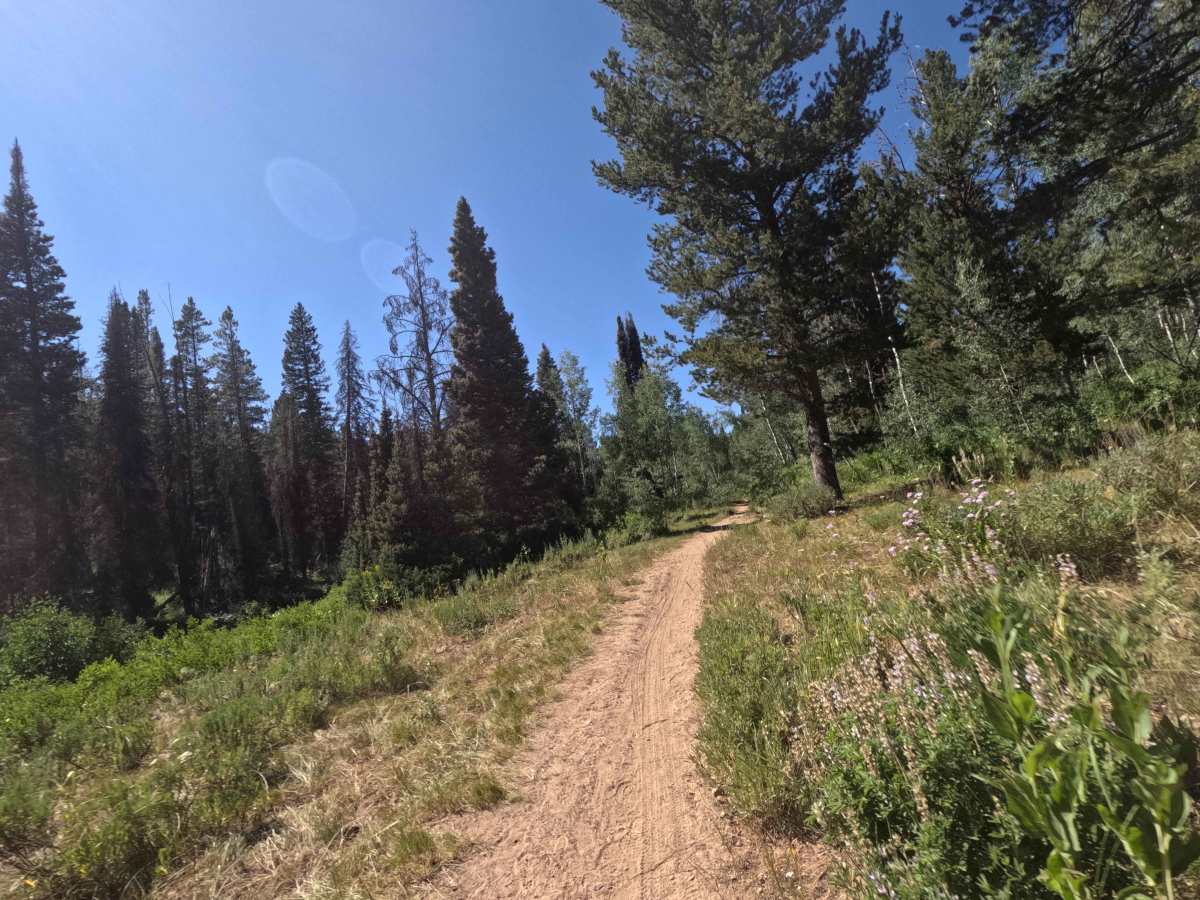 North Fork St. Charles trail photo