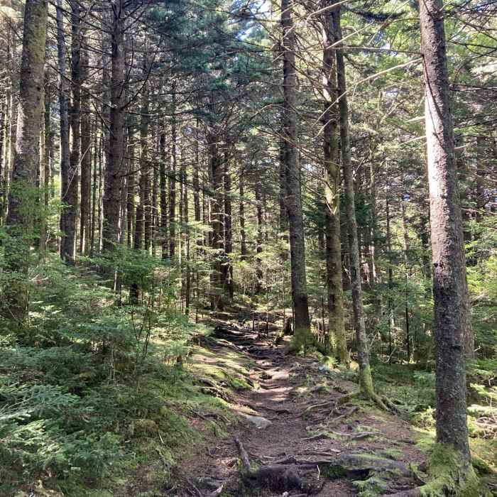 Near Roan High Bluff Near Roan High Bluff