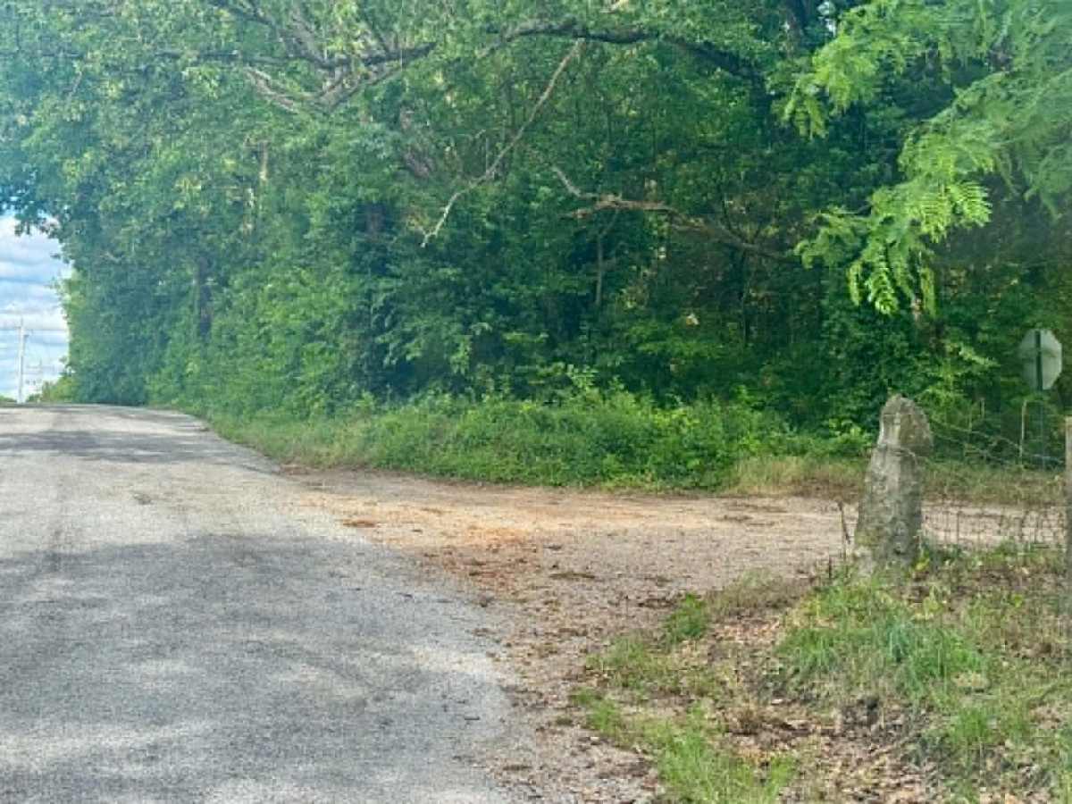 Farm Road 2025 photo 5
