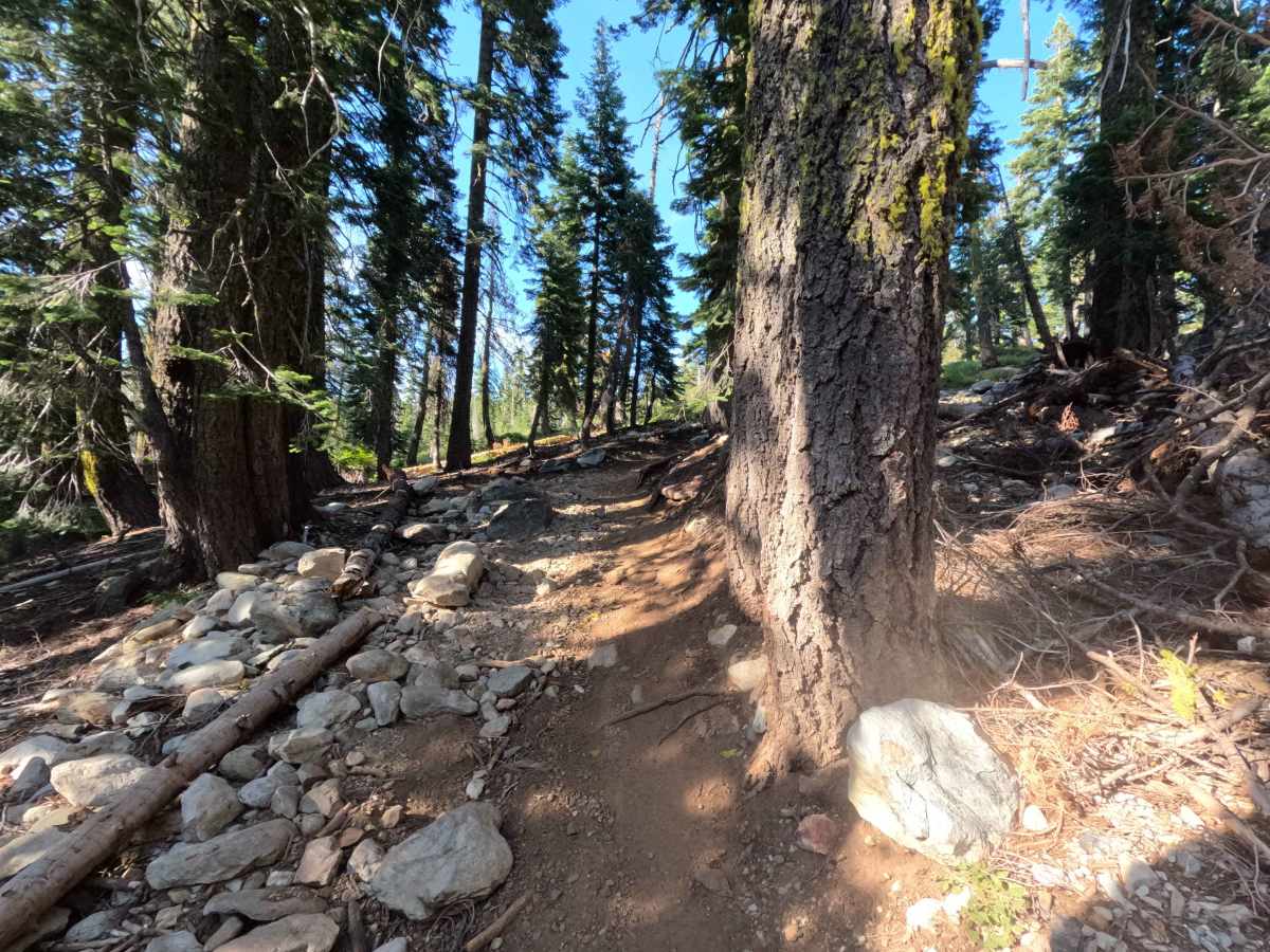 Snake Lake Trail - FS 12E67  photo 3