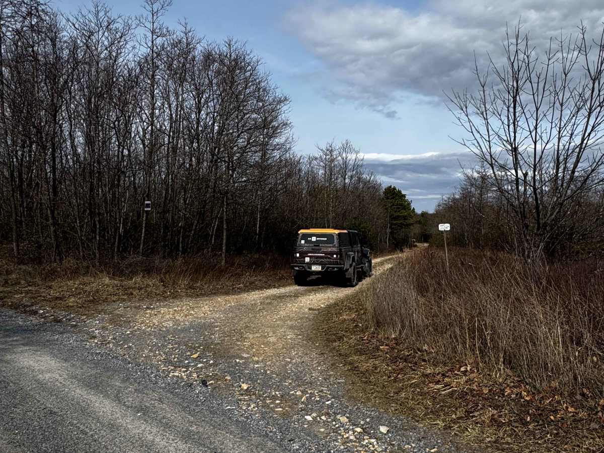 Nedcock Trail trail photo