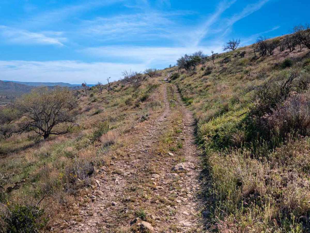 Black Mesa - FS 3271 photo 4