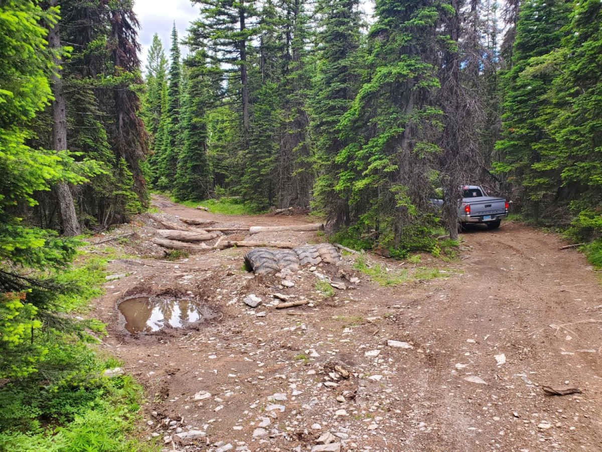 Blacktail Wild Bill OHV photo 5