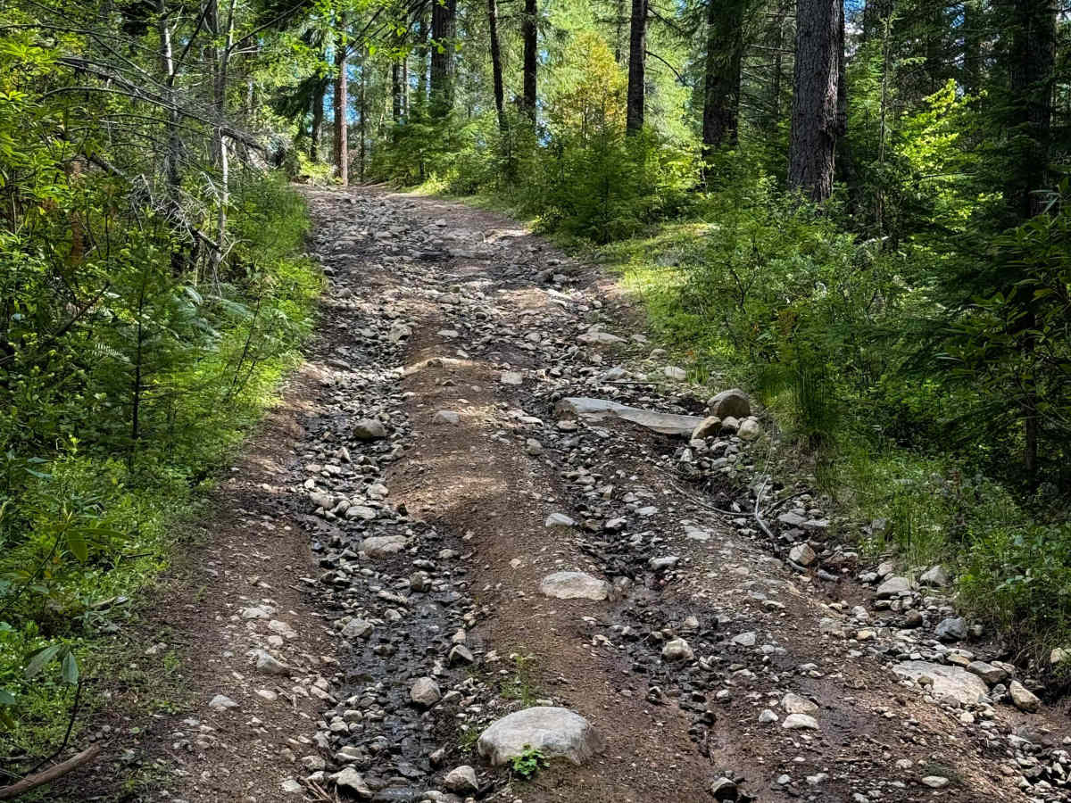 107 (South)  trail photo