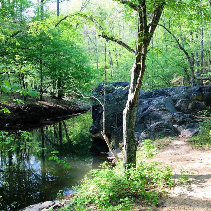 Near Elephant Rock Trail