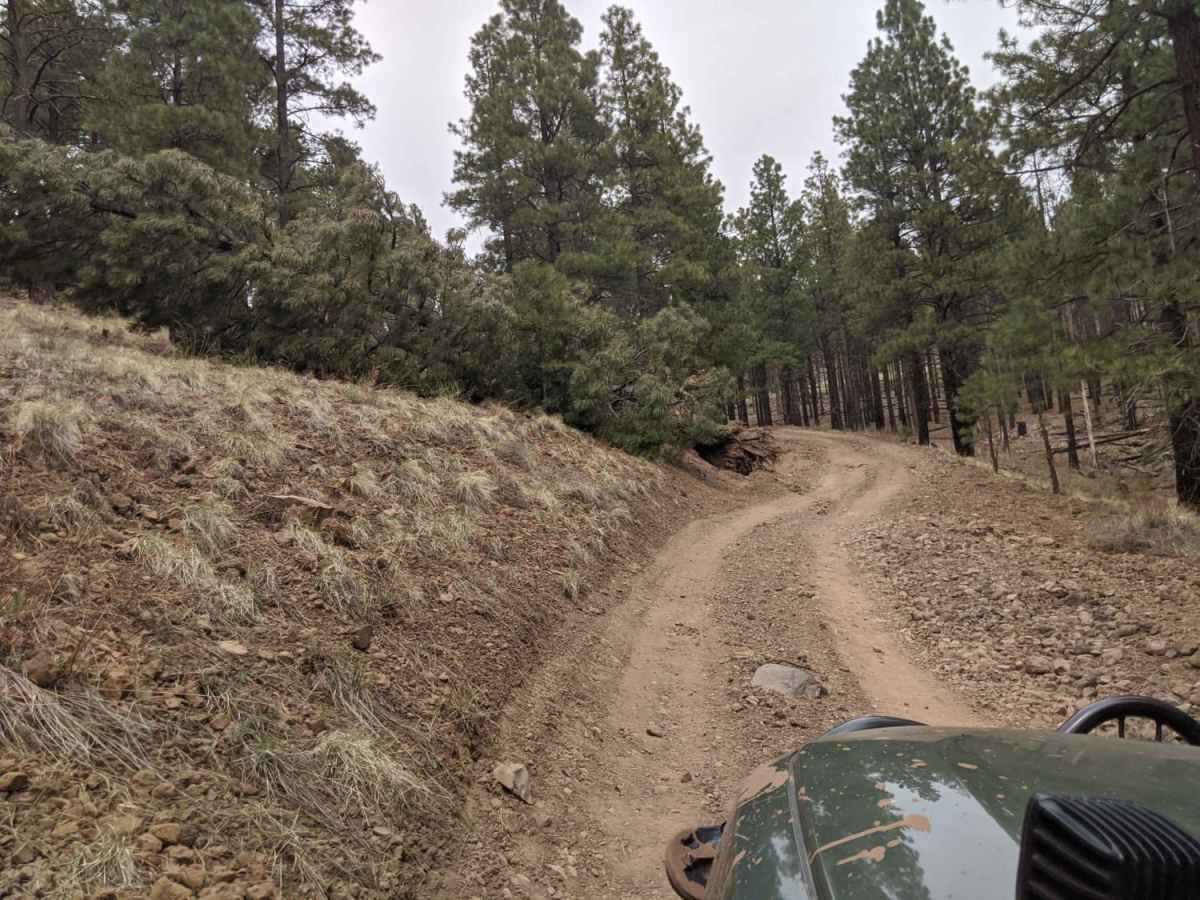 Old 190 Kendrick Trailhead trail photo