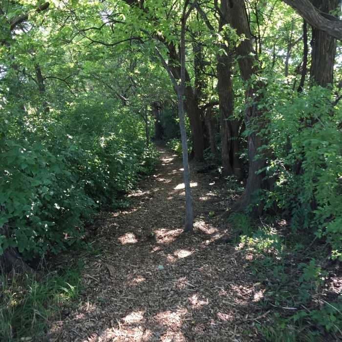 Near Sand Creek Trail