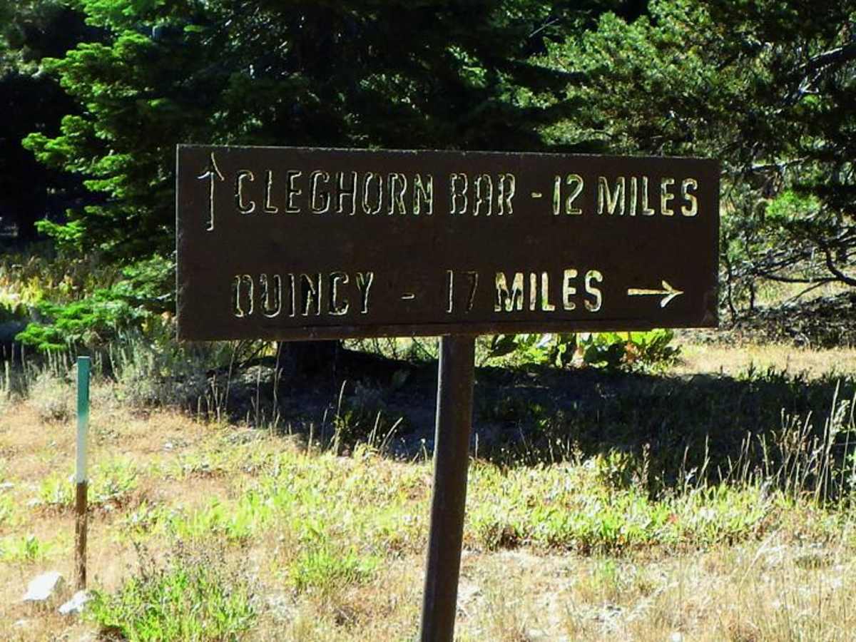 Cleghorn Bar trail photo