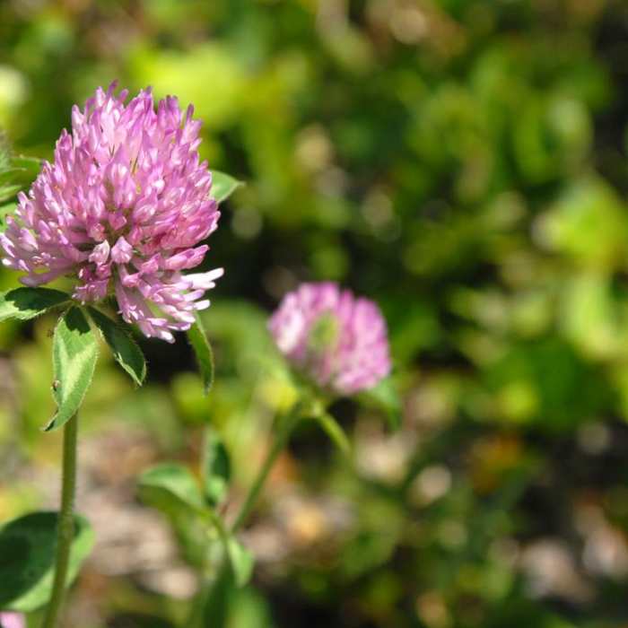Near Coldwater Lake Hiking Trail