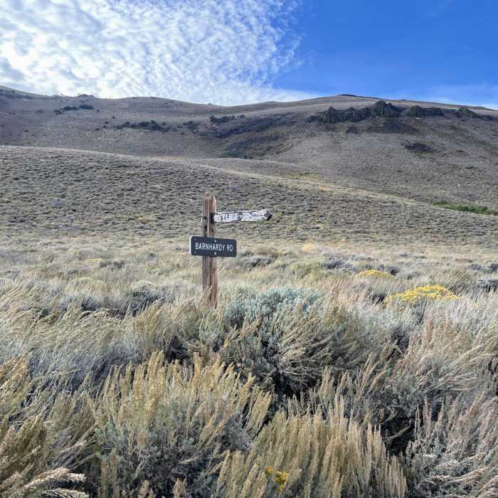 Near Hart Mountain Hot Springs Loop