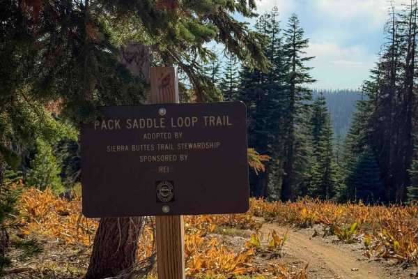 Pack Saddle Loop 