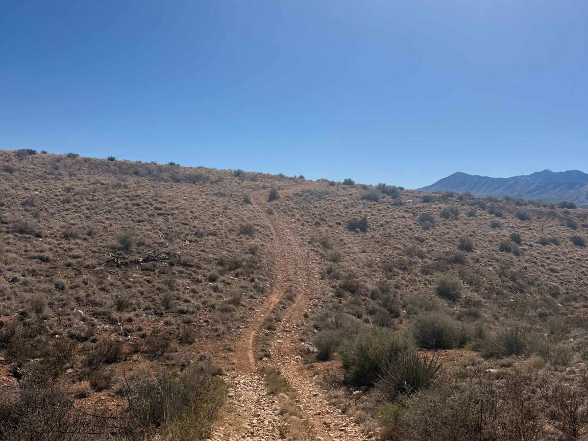 Ridgeline Romp photo 2