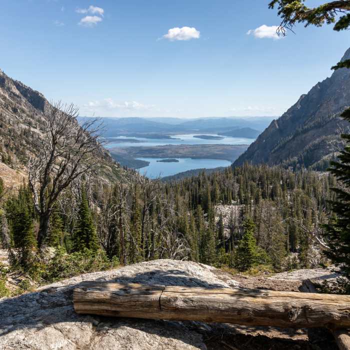 Leigh Lake and Jackson Lake from the Holly Lake camp site Near Holly Lake