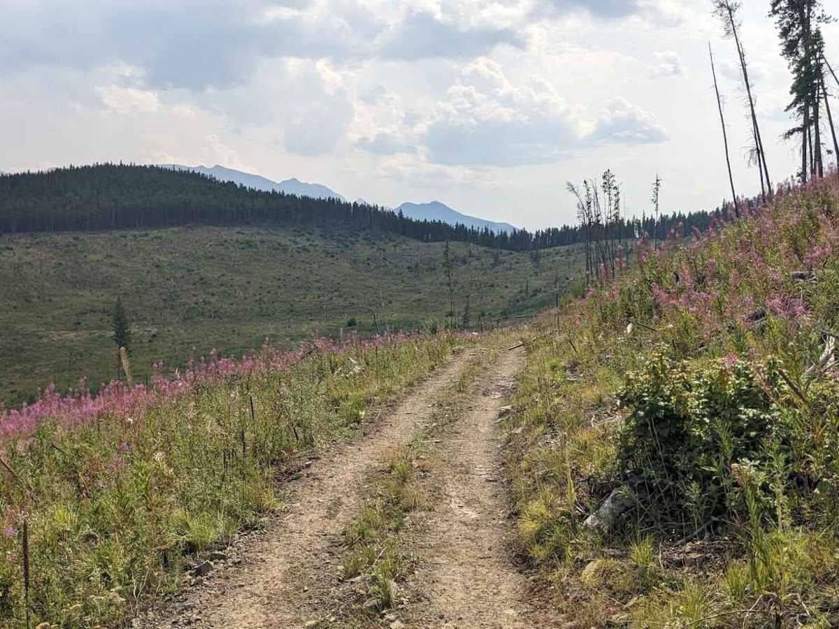 Wintering Mountain Trail 229 photo 5