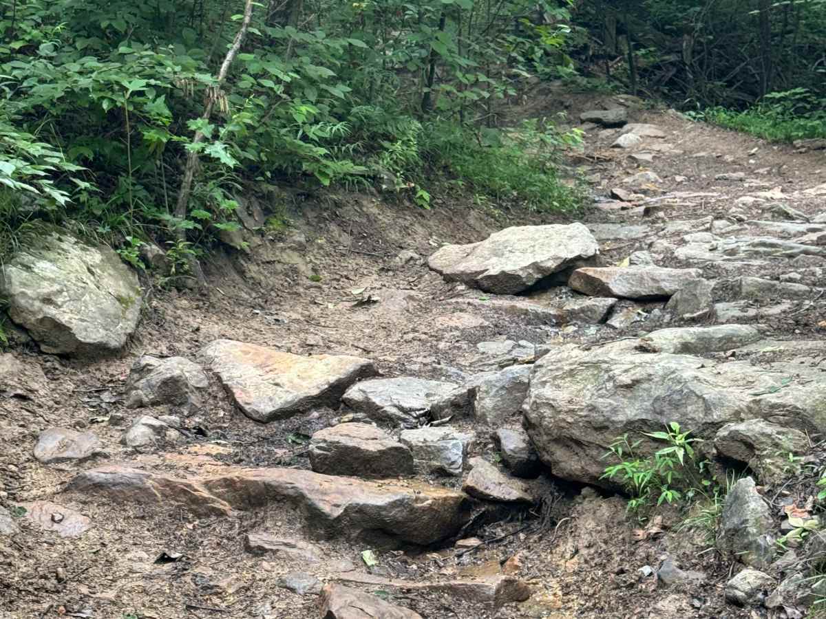 Trail 67 photo 3