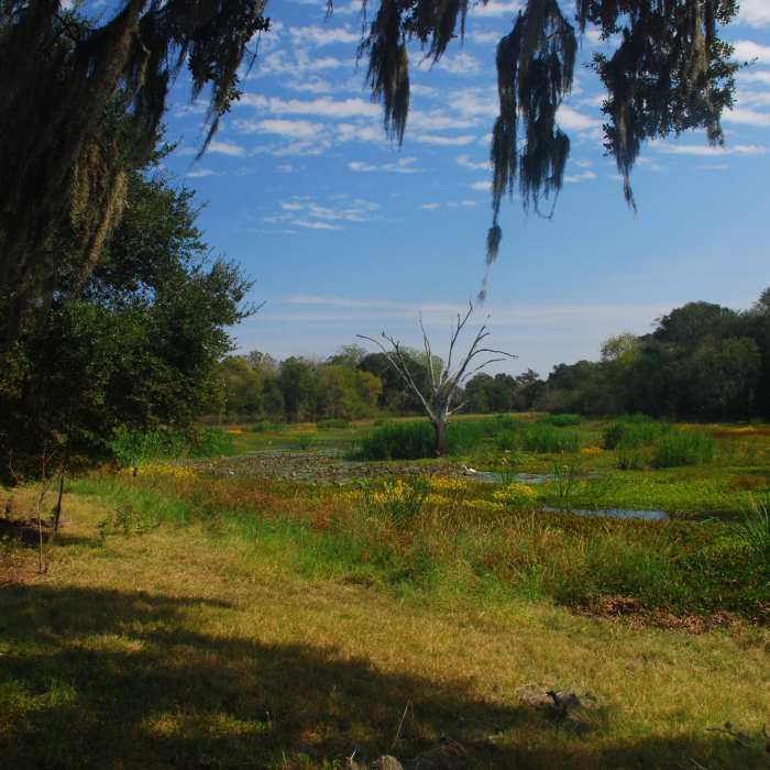 Near Horseshoe Lake Loop