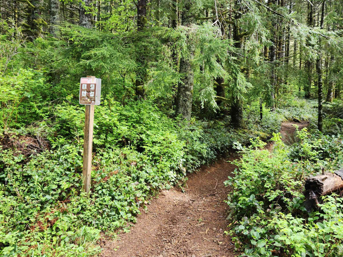Twin Peaks Trail photo 5