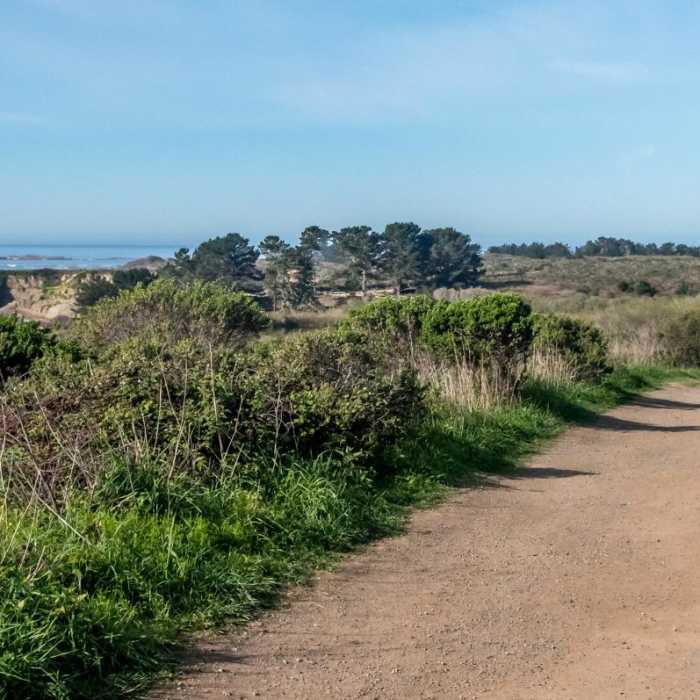 Near Nuevo Point Trail Near Nuevo Point Trail