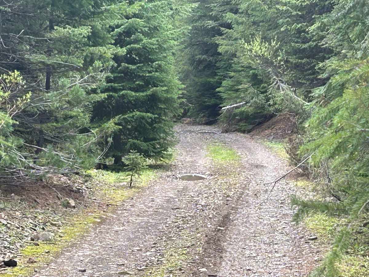 North Fork Little Naches - FS 1906 photo 4